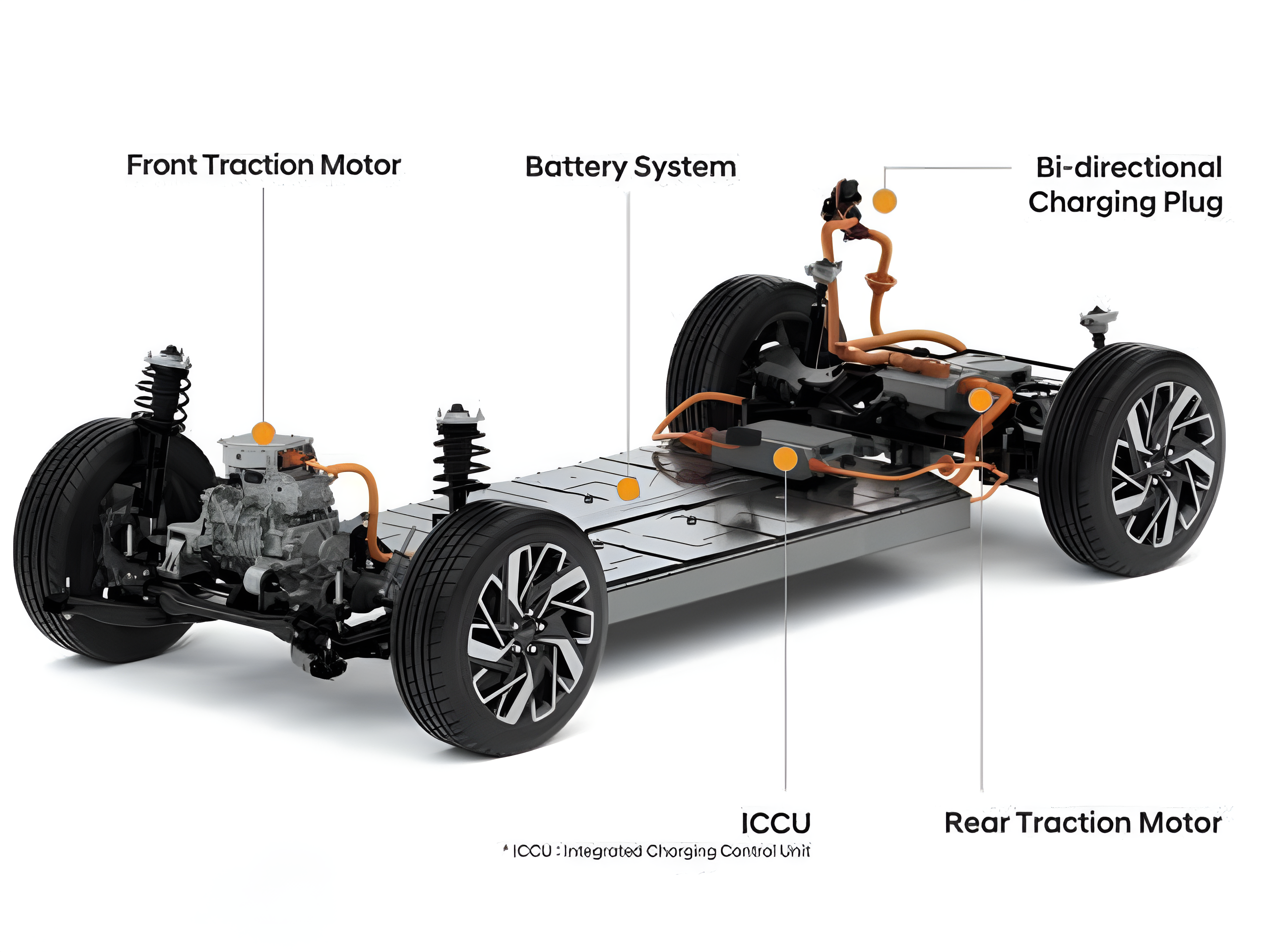 MG-Image-3